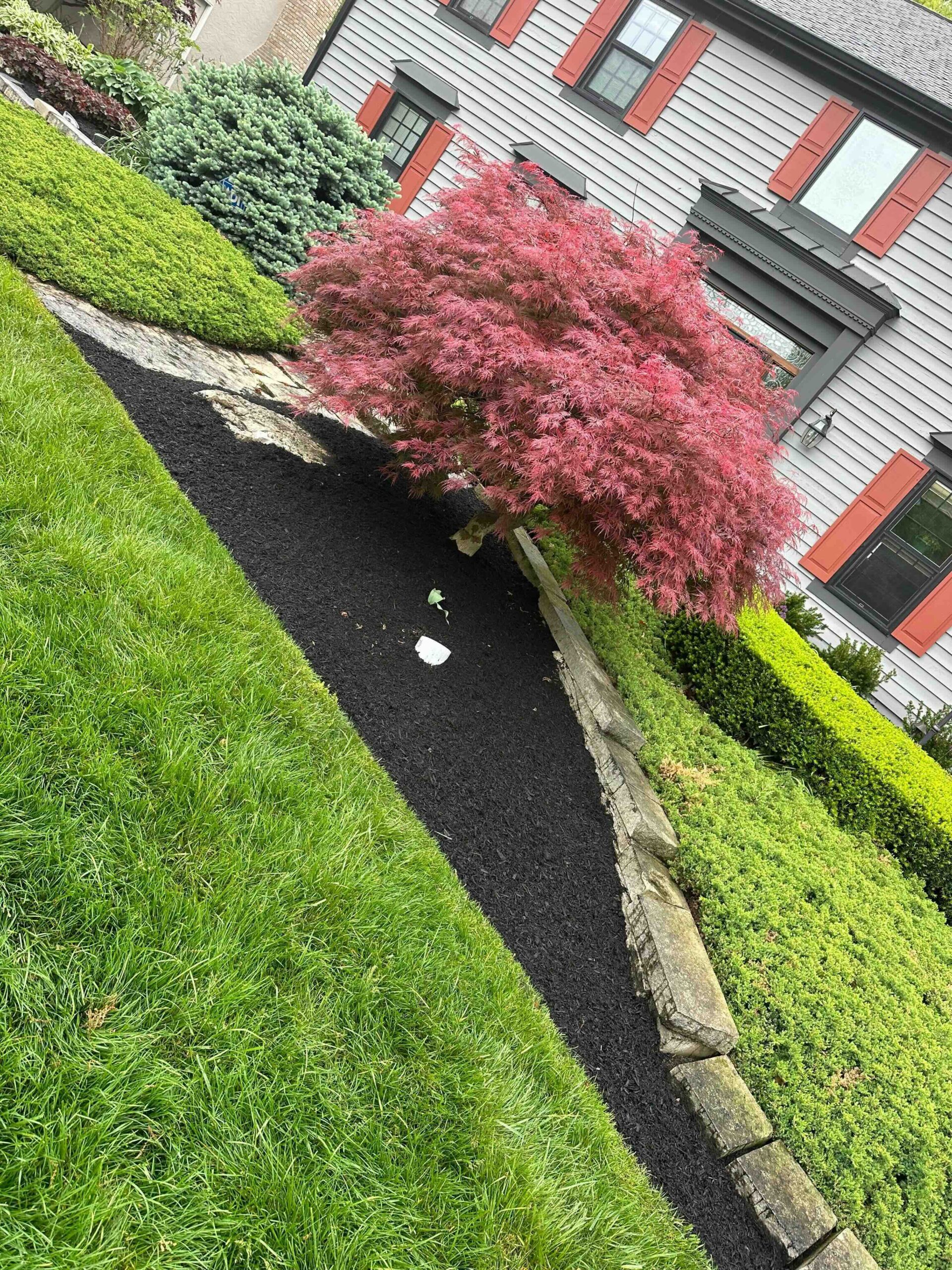 Colonial Landscaping summer cleanup result 1