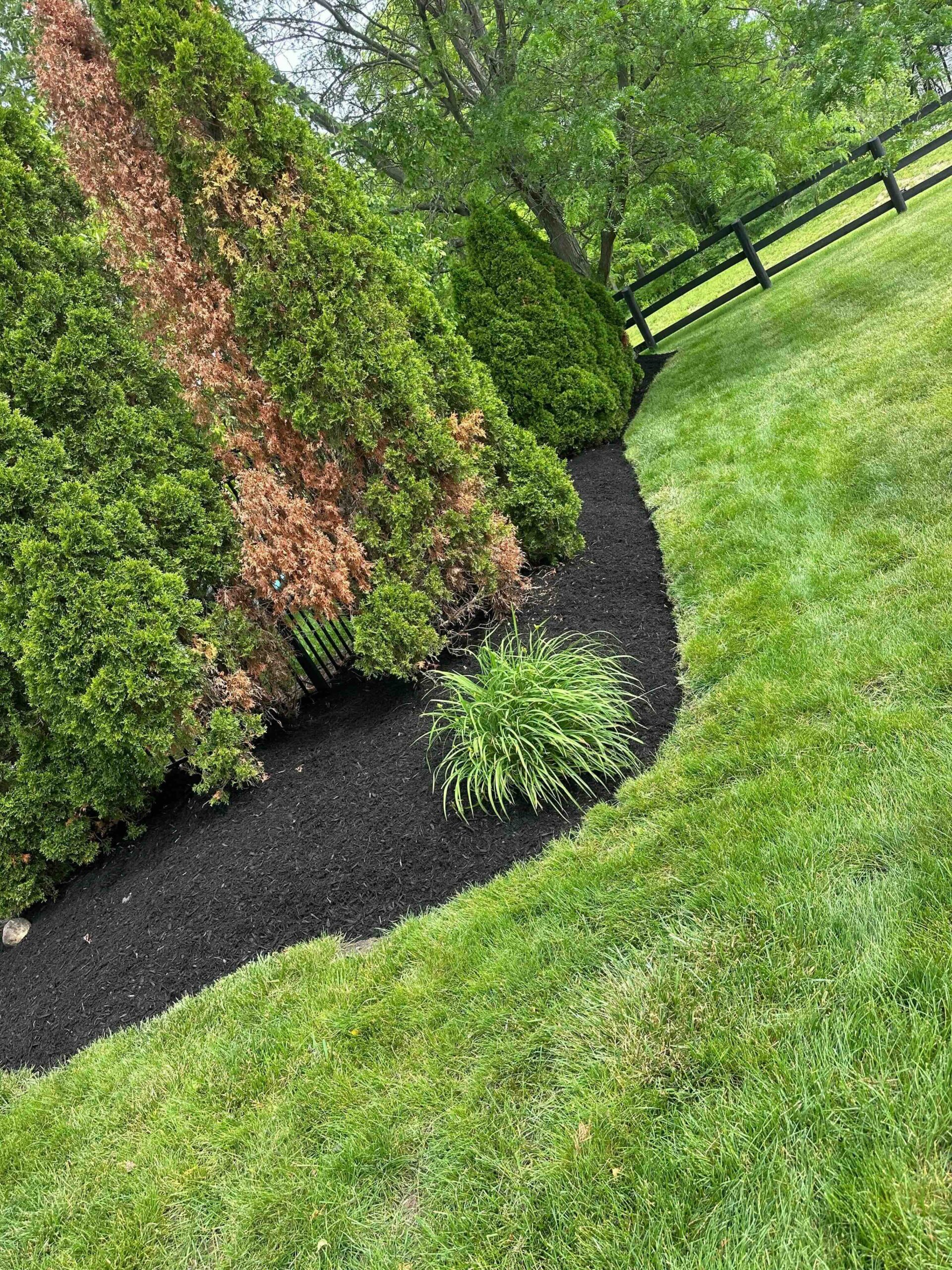 Colonial Landscaping summer cleanup result 3