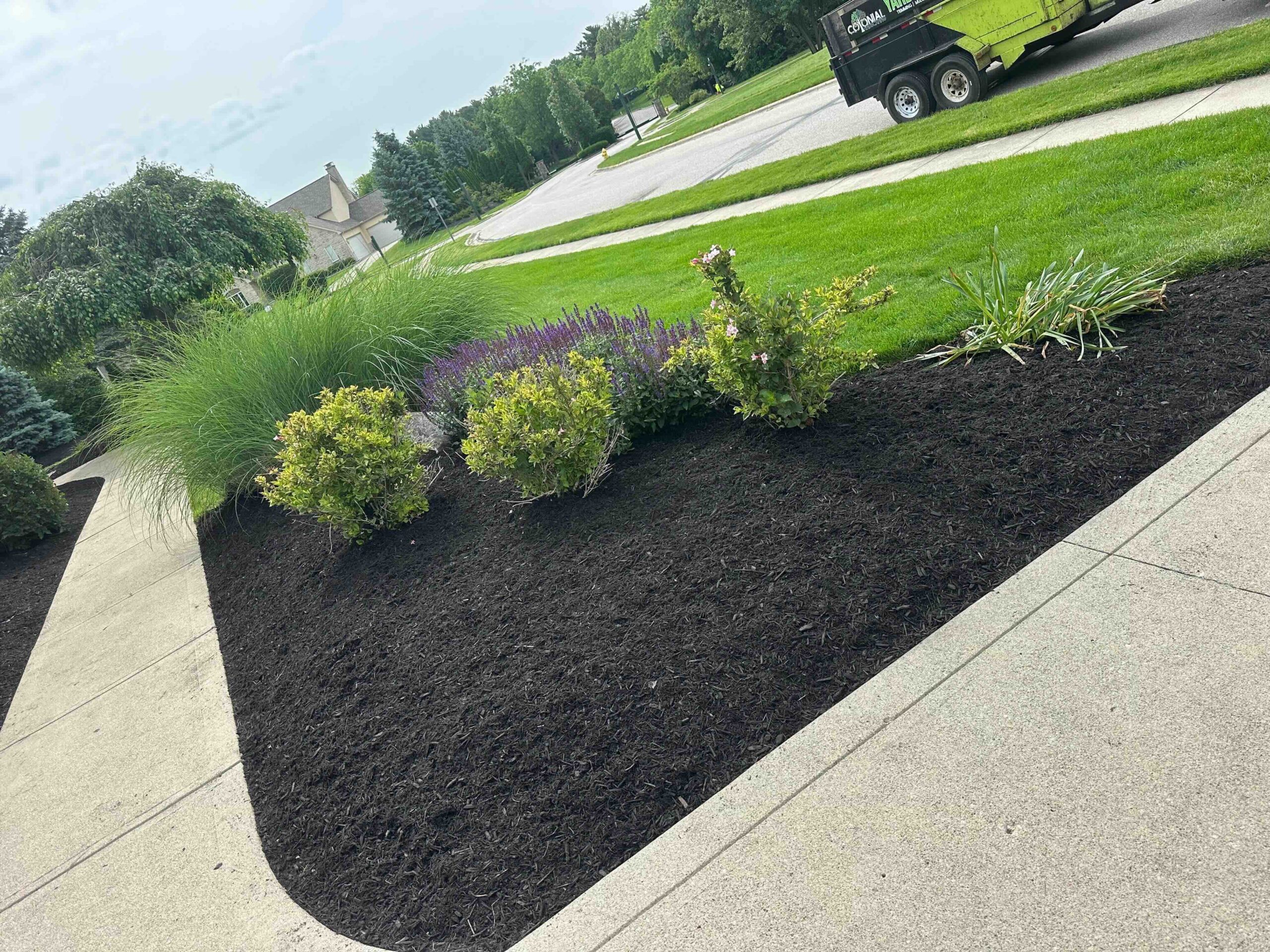 Colonial Landscaping summer cleanup result 5