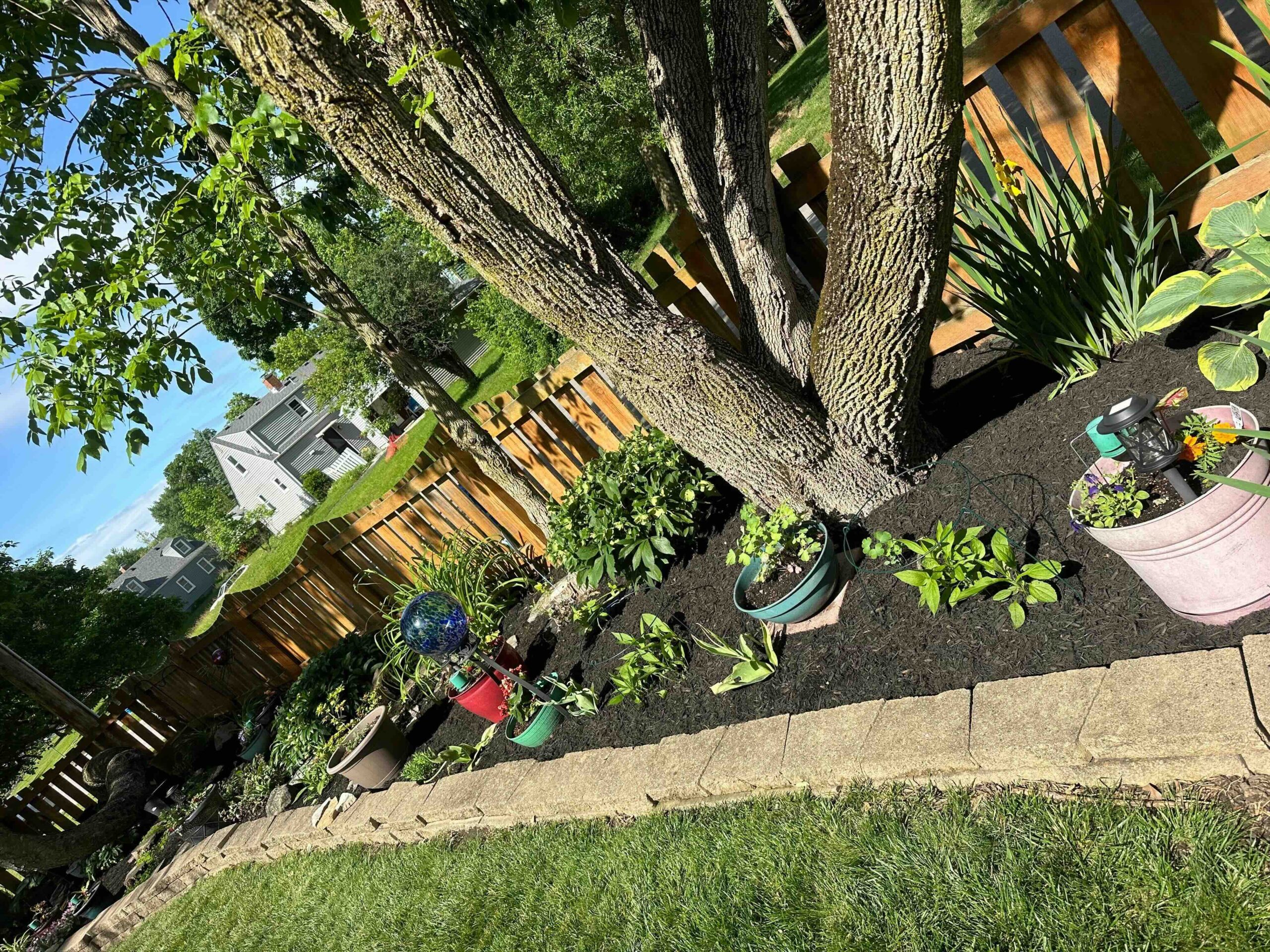 Colonial Landscaping summer cleanup result 8